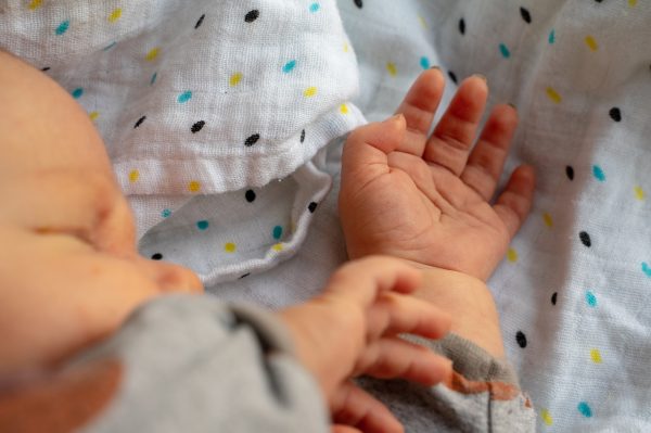baby’s hand, baby, finger-4107327 baby's hand, baby, finger